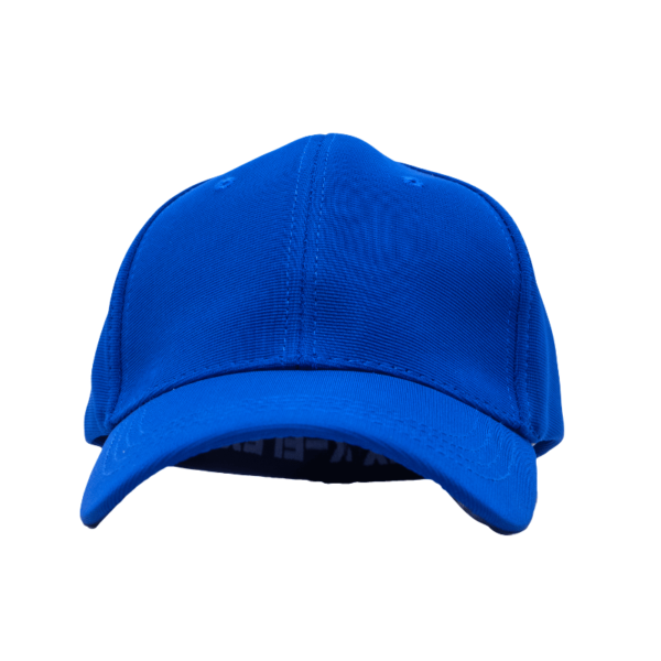 X Flex Golf Cap